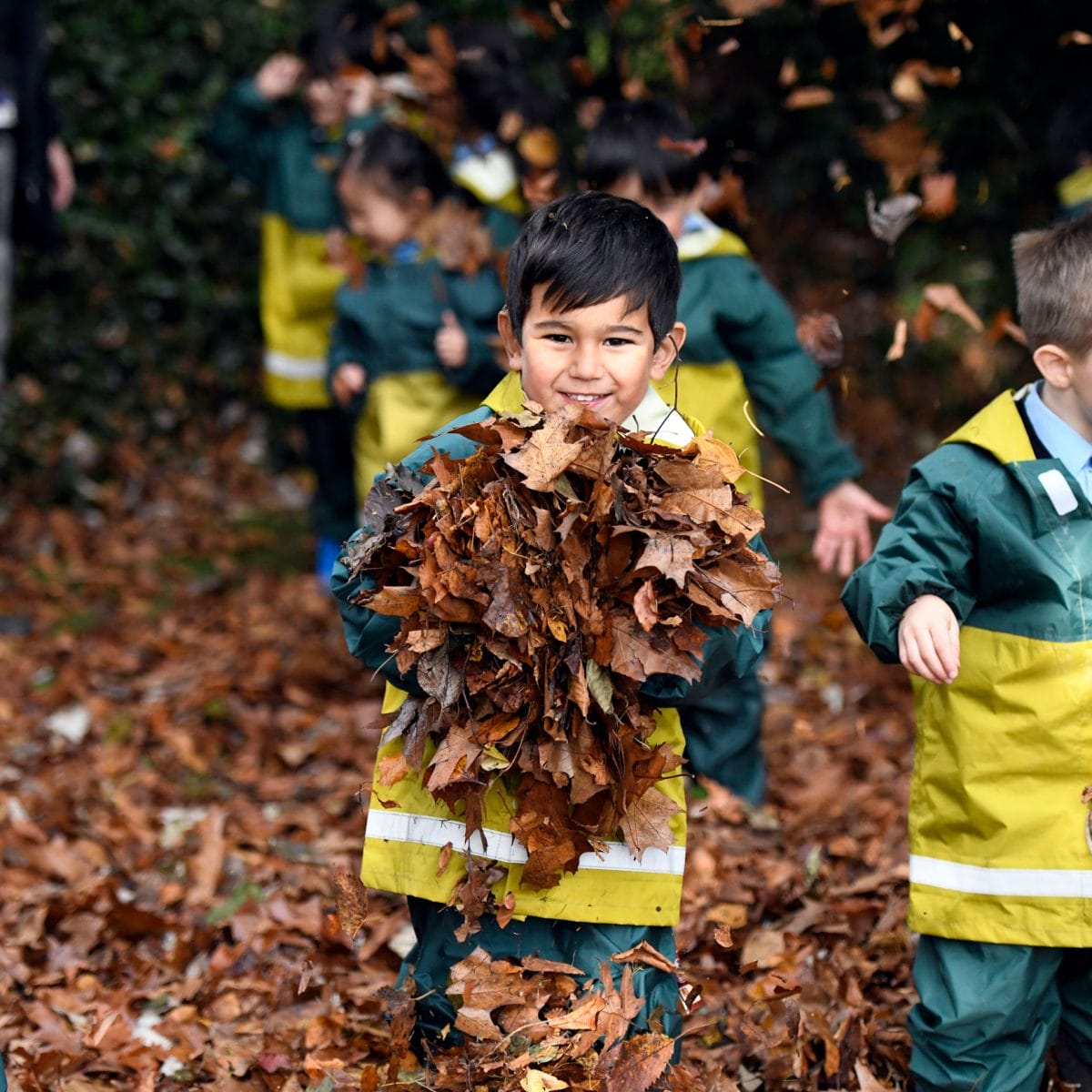 A boy holding a pile of leaves in Forest School.
